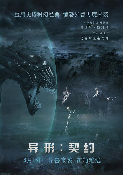 高等教育就业档案哪里有卖
